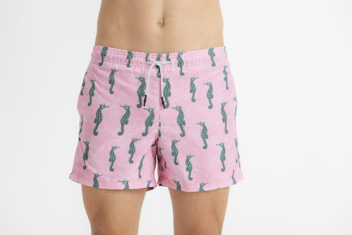 Sale kids Swim trunk seahorses