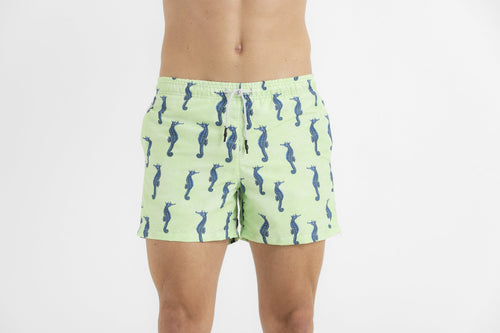 Sale kids Swim trunk seahorses