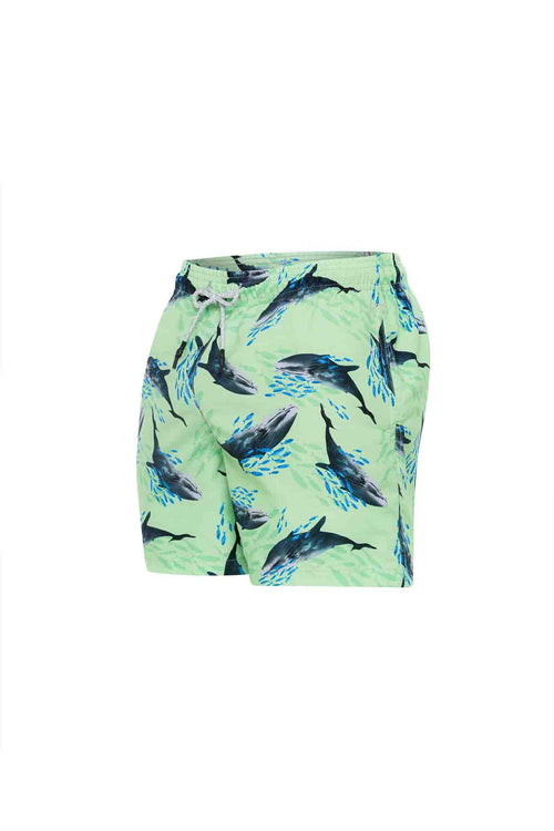 Sale Kids swim trunks whales