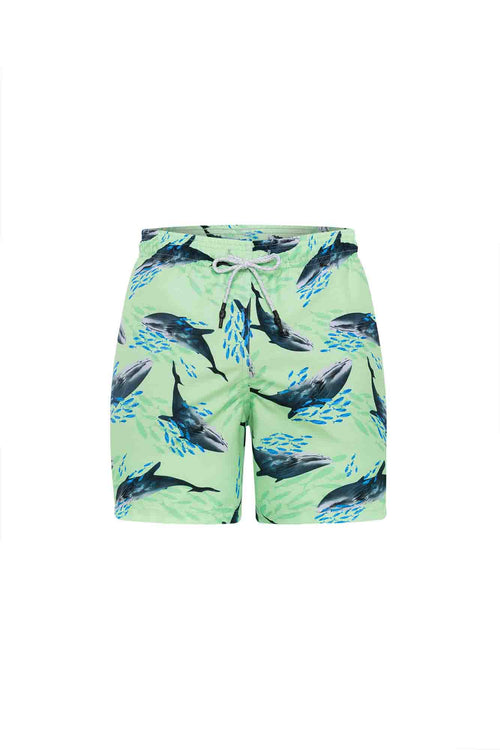 Sale Kids swim trunks whales