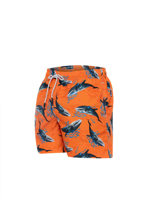 Sale Kids swim trunks whales