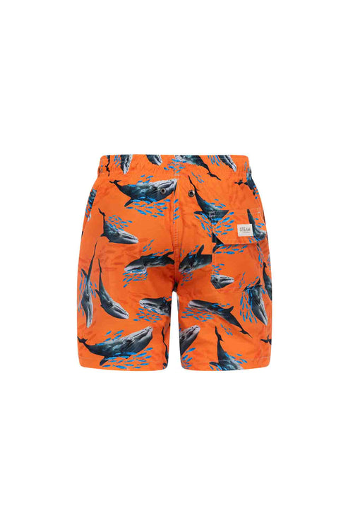 Sale Kids swim trunks whales