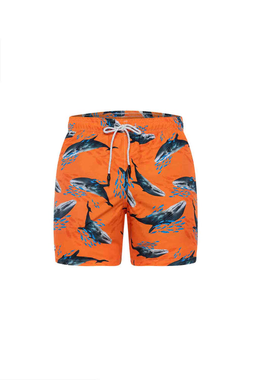 Sale Kids swim trunks whales