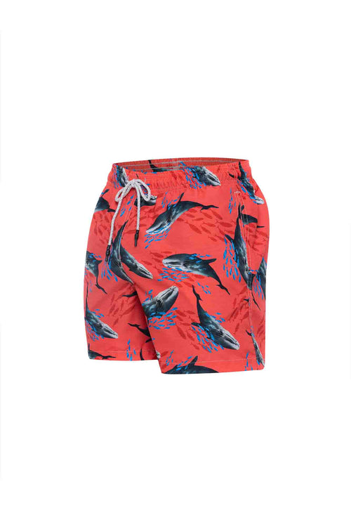 Sale Kids swim trunks whales