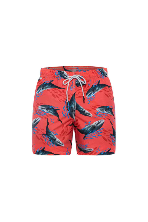 Sale Kids swim trunks whales