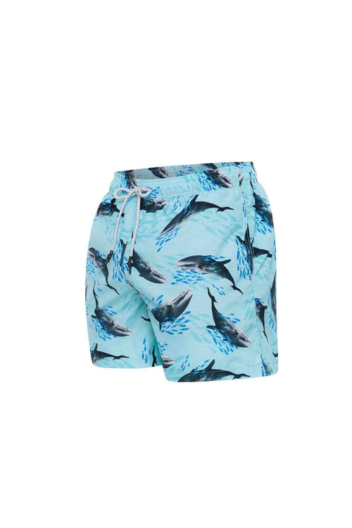 Sale Kids swim trunks whales