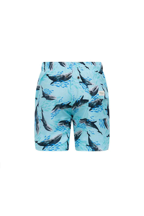 Sale Kids swim trunks whales