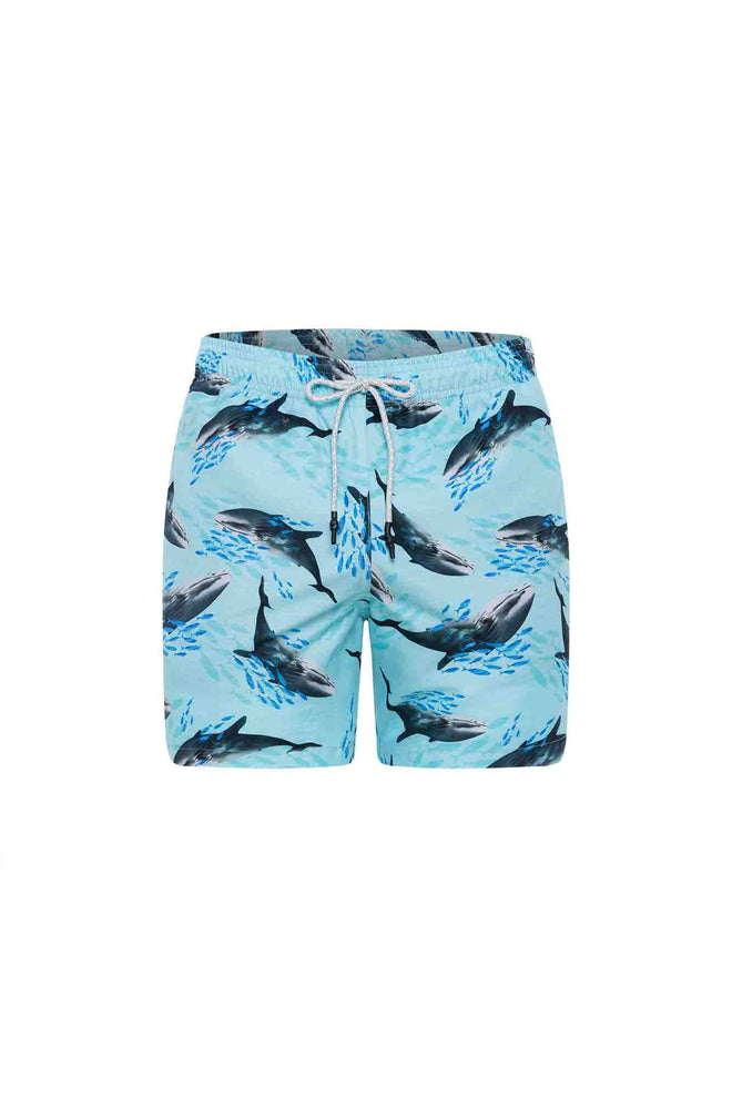 Sale Swim trunk whales