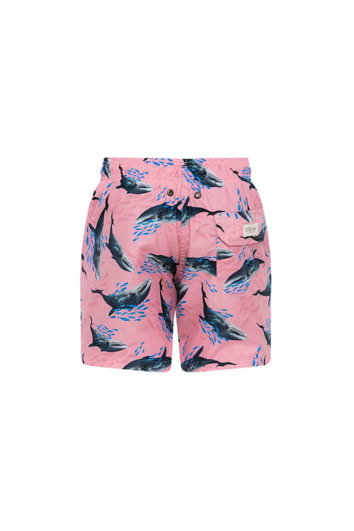 Sale Kids swim trunks whales